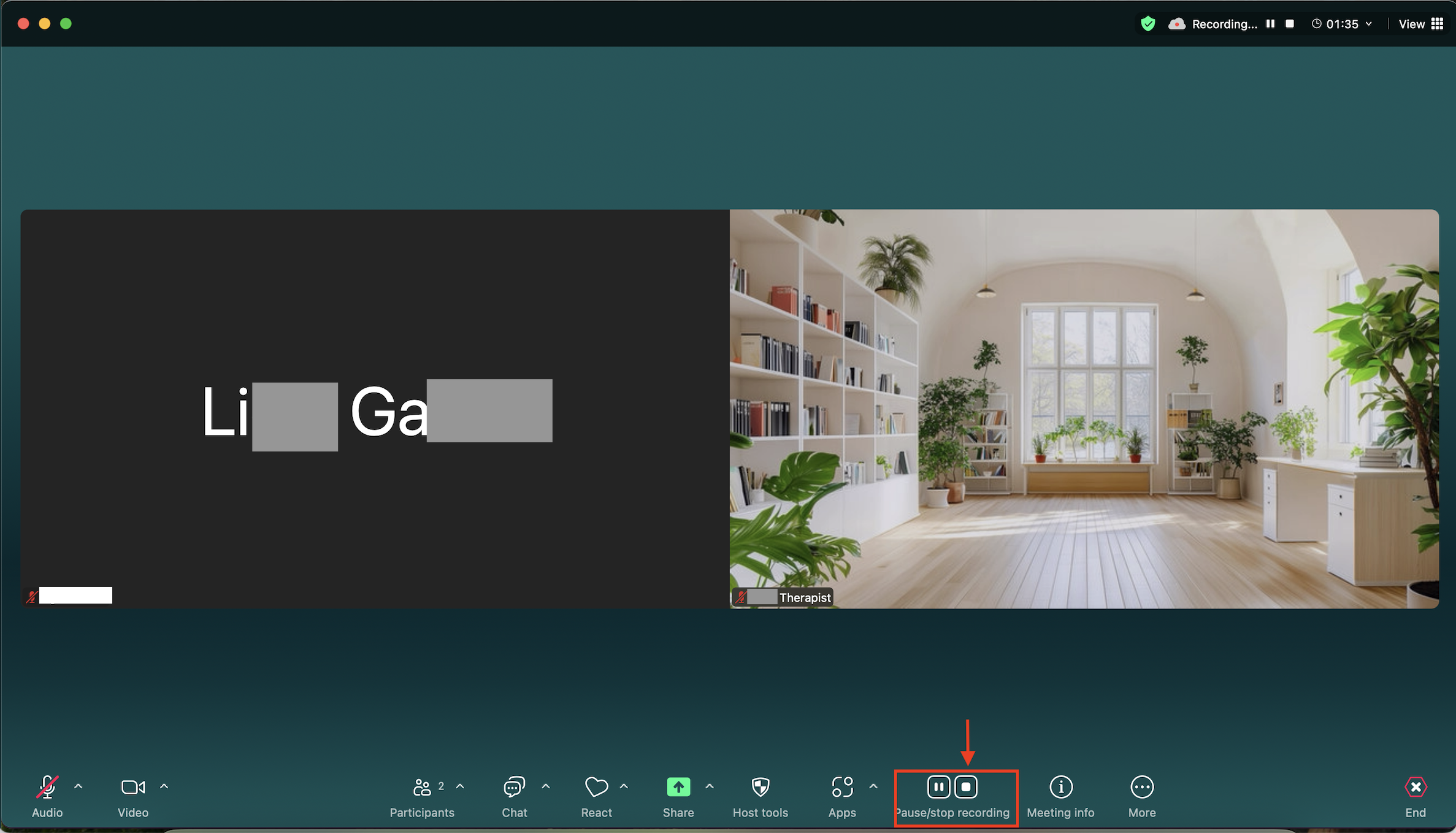 Session recording_Zoom_stop controls1.png
